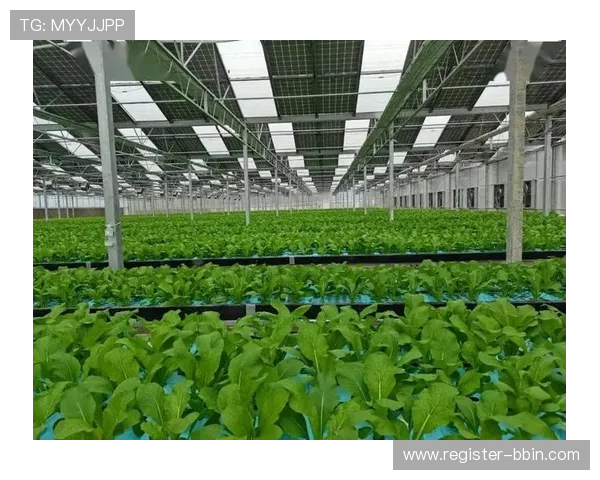 宝盈平台：宝盈平台的市场前景与未来发展趋势深度探讨